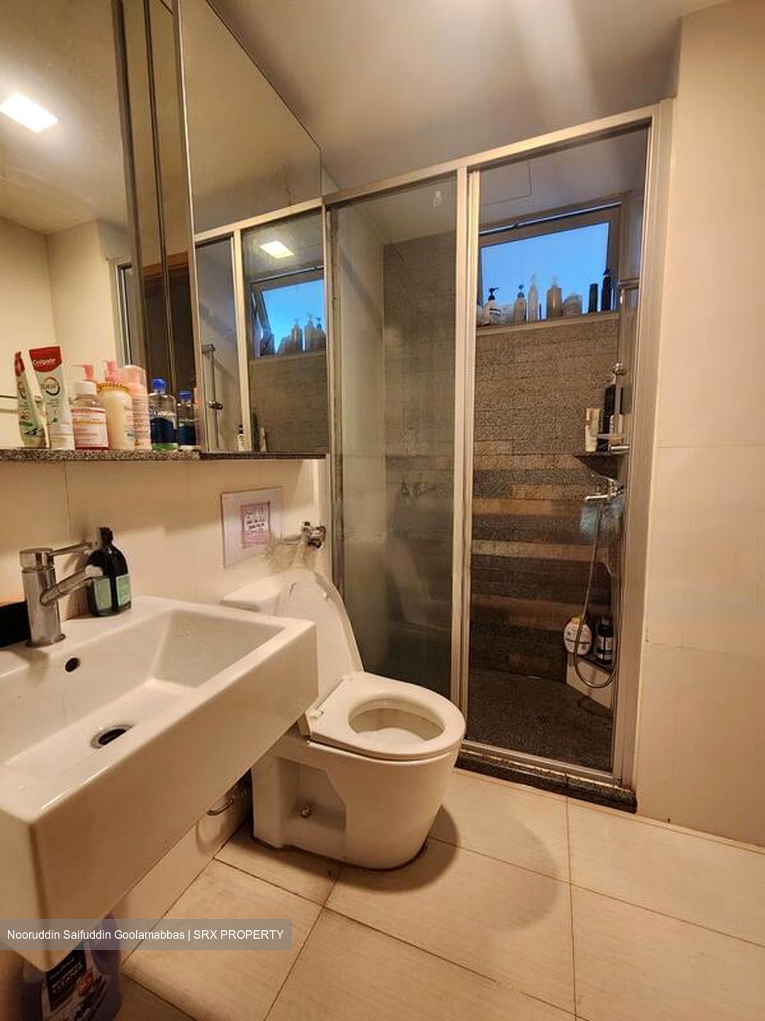 8 @ Mount Sophia (D9), Condominium #463137551